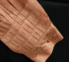 Rosa silkeskjorte, design Tones Bunadstue, mansjett detalj thumbnail