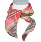 03-378.040 Aurora thumbnail